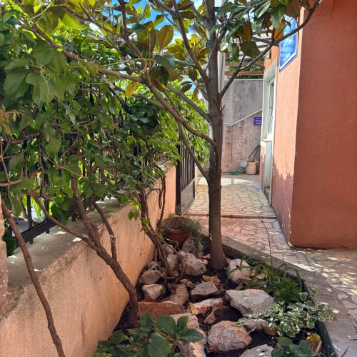 ba771b2a-4cb6-43c3-a241-5ddd63416a84